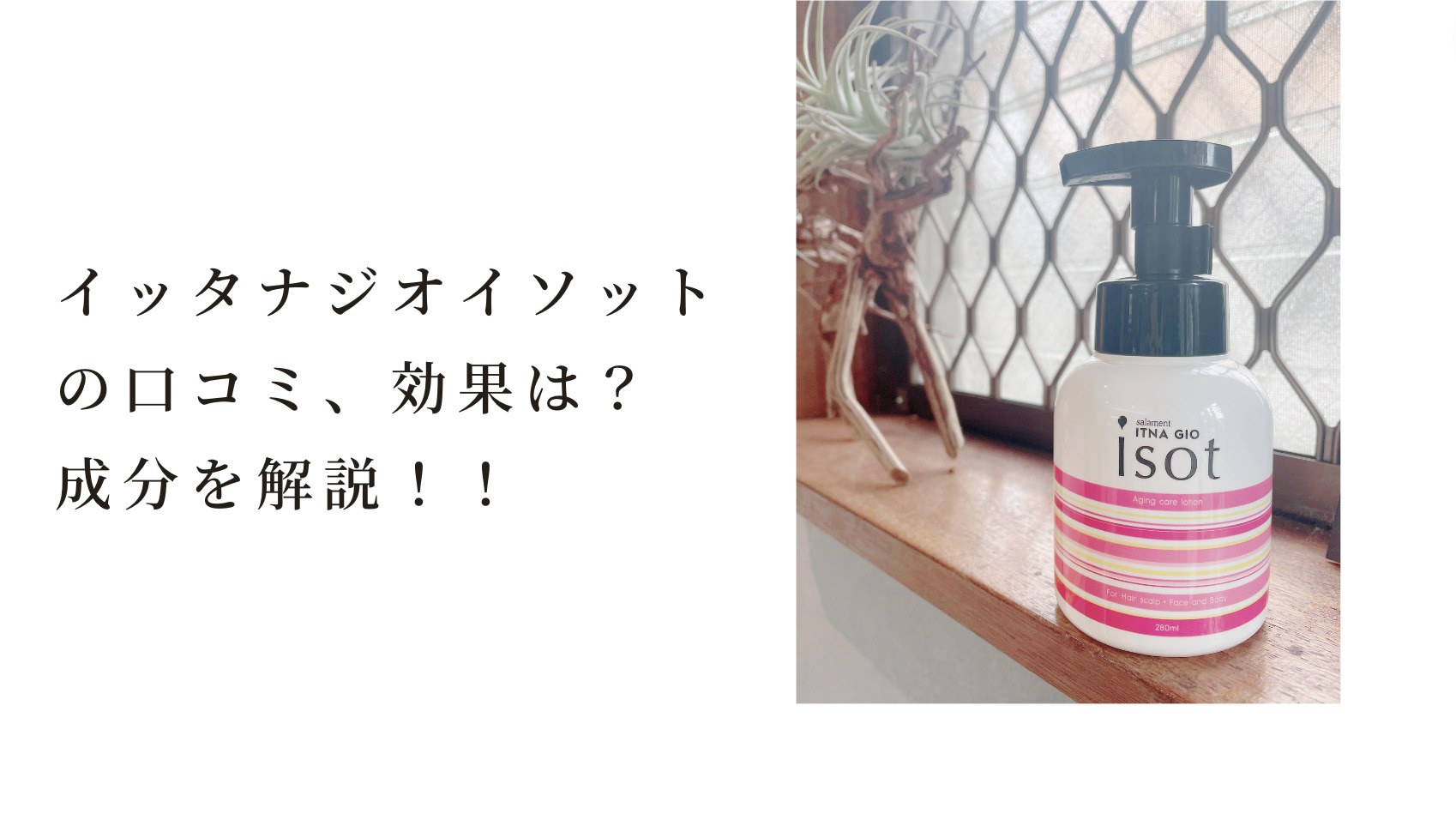 イッタナジオイソット イッタナジオイソットの口コミ、効果は？成分を解説！｜KALON