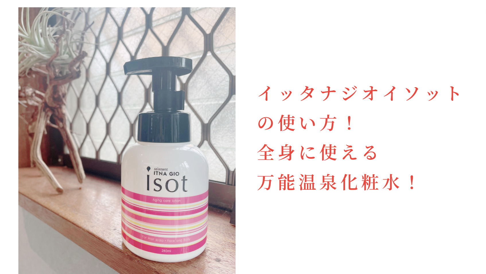 ■新品■イッタナジオ イソット　　　　　 　　　　ITAN GIO 本体+詰替え サラメンテ イッタナジオ イソット ITAN GIO 800ml（詰め替え用